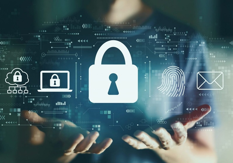 OK9 Thu Thập Những Loại Thông Tin Nào Và Tại Sao?